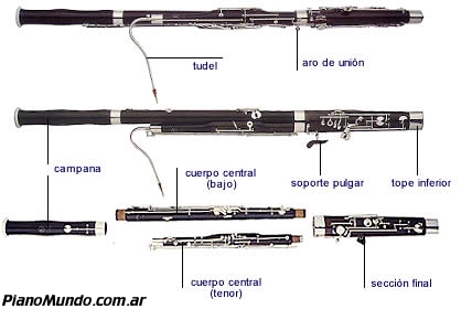 la familia de intrumentos del fagot