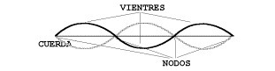 una cuerda que vibra